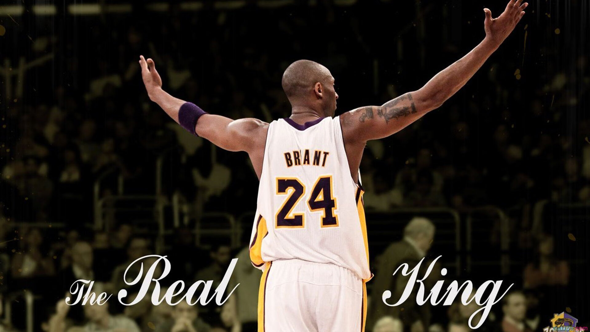 中国篮球联赛观众行为分析及市场营销策略研究,篮球比赛观众